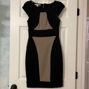 Maggy London Shortsleeve Dress